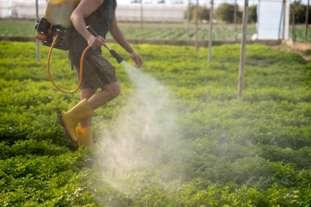Best Affordable Pest Control Services  in Kirksville, MO
