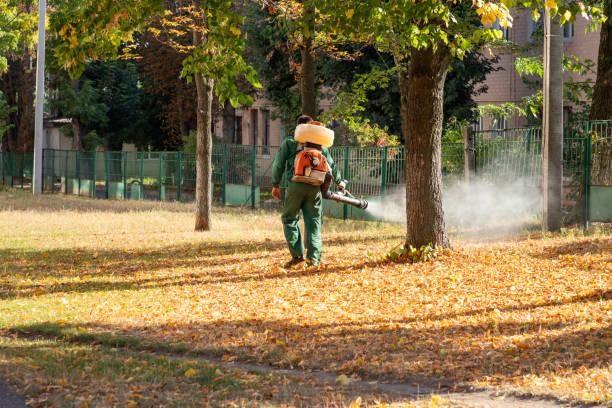 Pest Prevention Services in Kirksville, MO