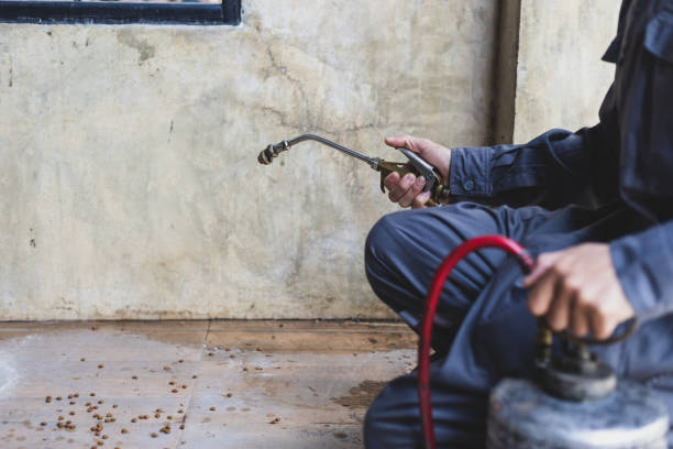 Best Wasp Removal Services  in Kirksville, MO