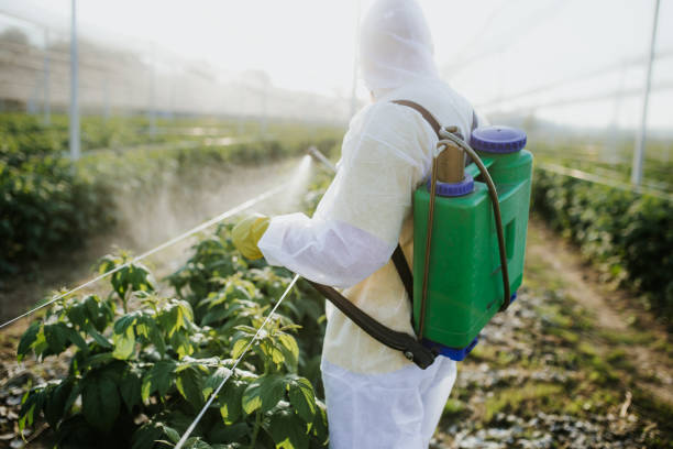 Best Residential Pest Control  in Kirksville, MO